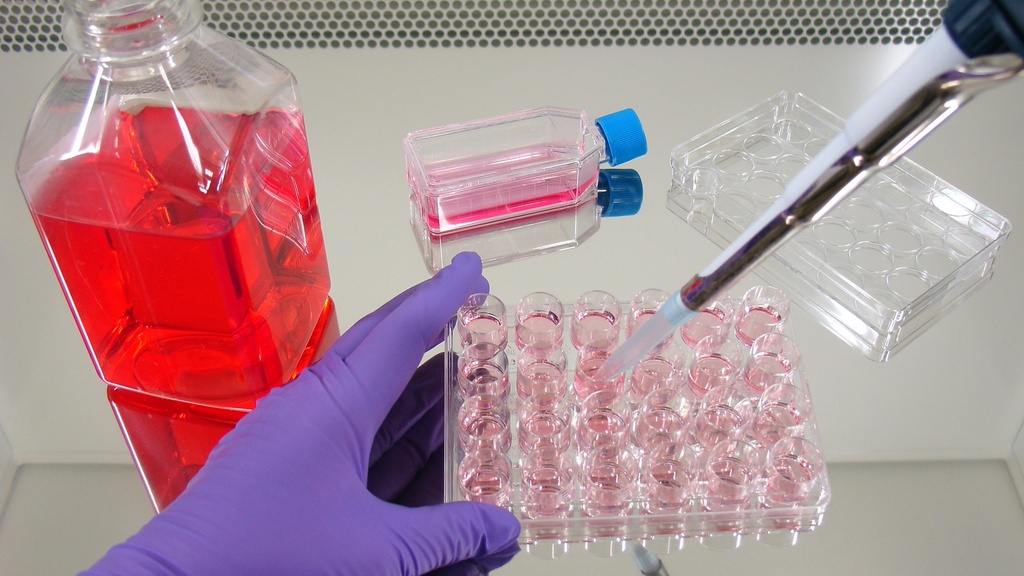 DPBS with Glucose, Sodium pyruvate, Calcium, Magnesium, Streptomycin and Kanamycin, 