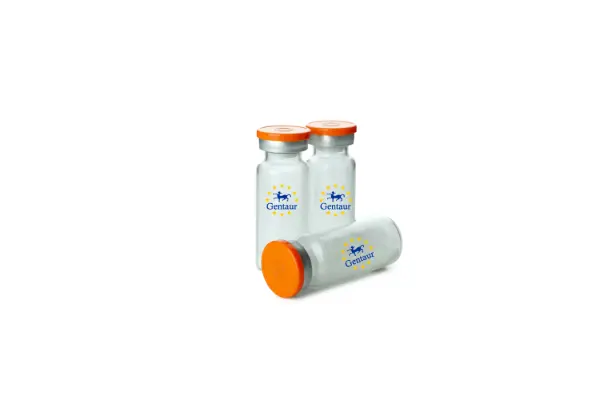 ACTL6A Human